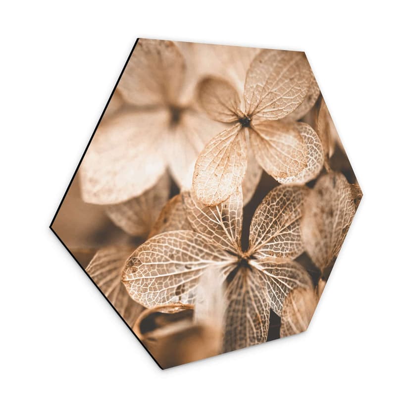 Esagoni Alu-Dibond Annie - Fiori delicati