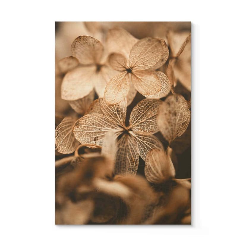 Stampa su legno Annie - Fiori delicati