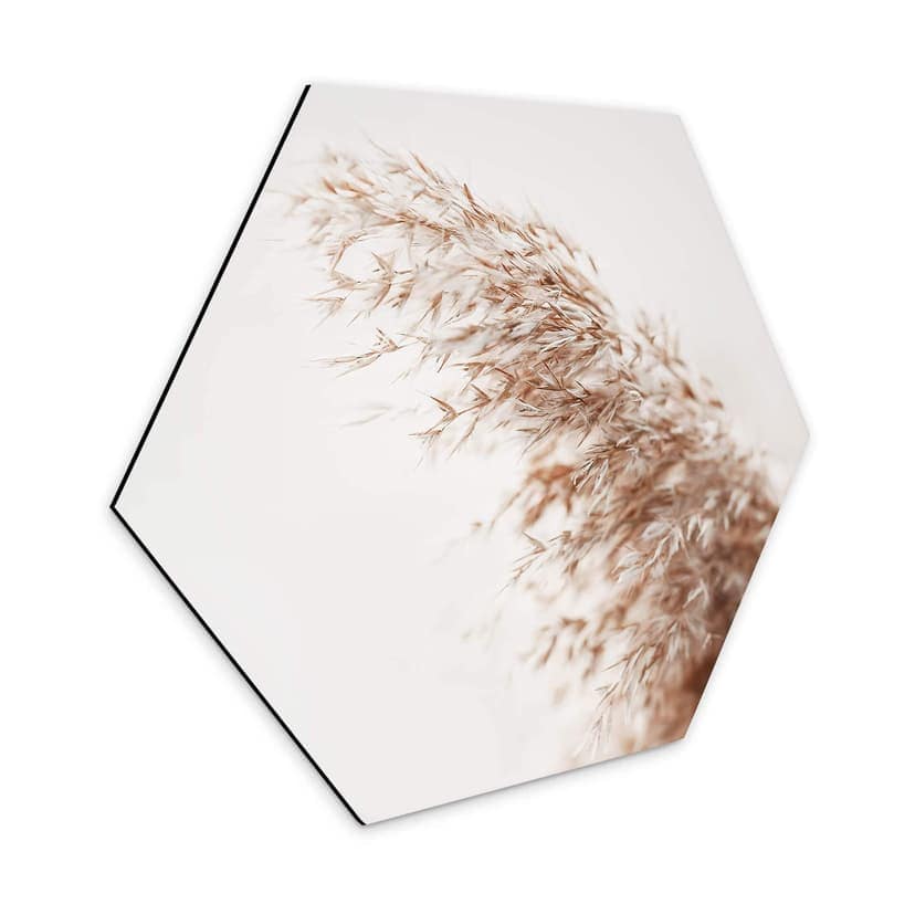 Esagoni in Alu-dibond - Pampas grass