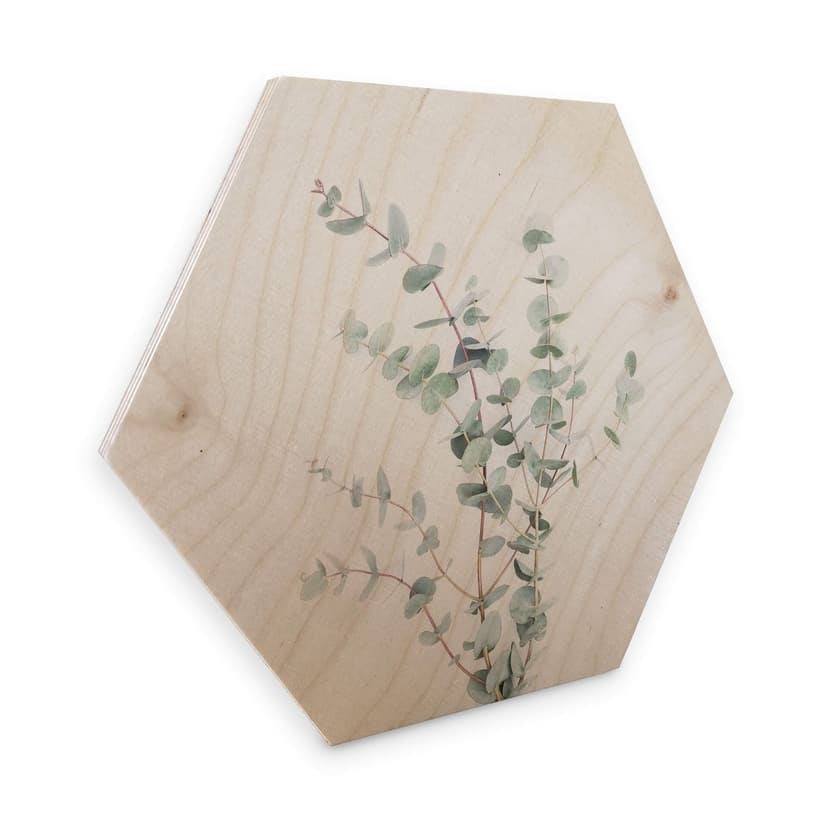 Esagoni in legno Sisi & Seb - Eucalipto