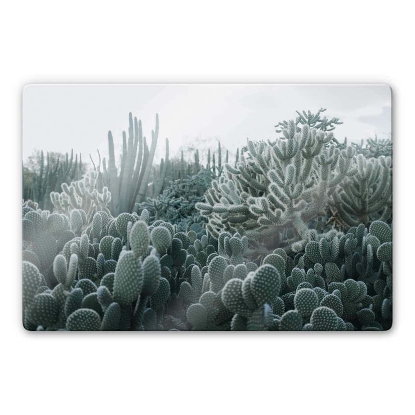 Glasbild  Kakteen