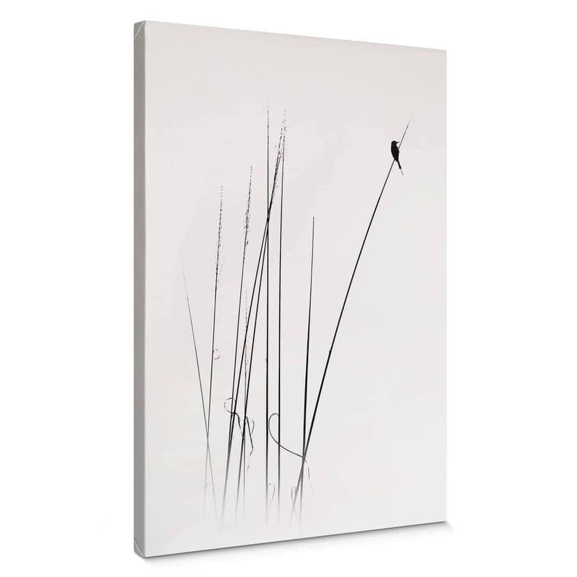 Stampa su tela Swapnil - Time out