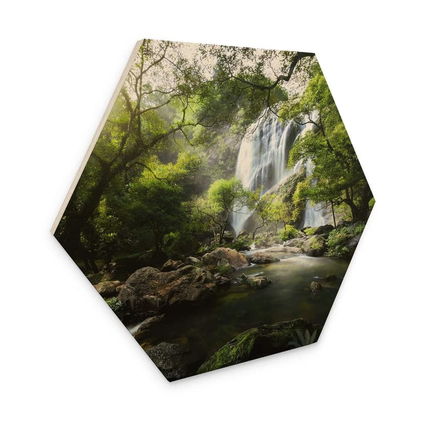 Esagono in legno Cascata nella foresta