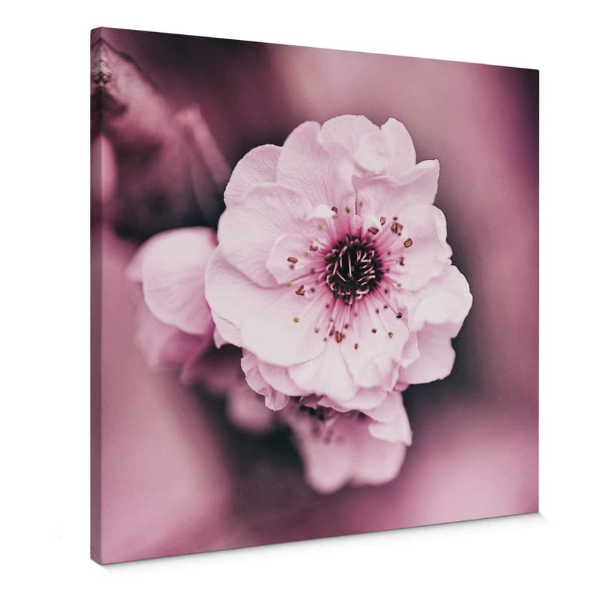 Stampa su tela - Fiore