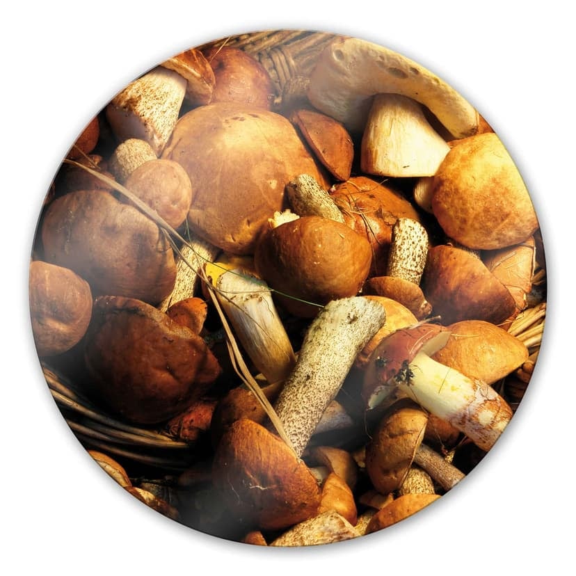 Cesto di funghi - tondo