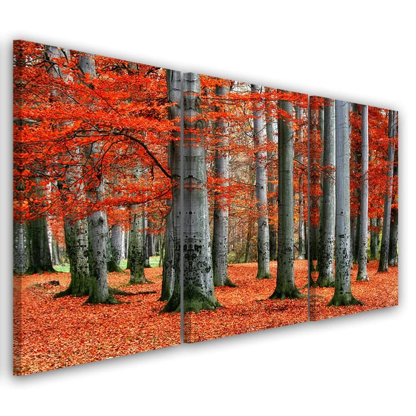 Stampa su tela 3 pezzi Foresta rossa Autunno Natura