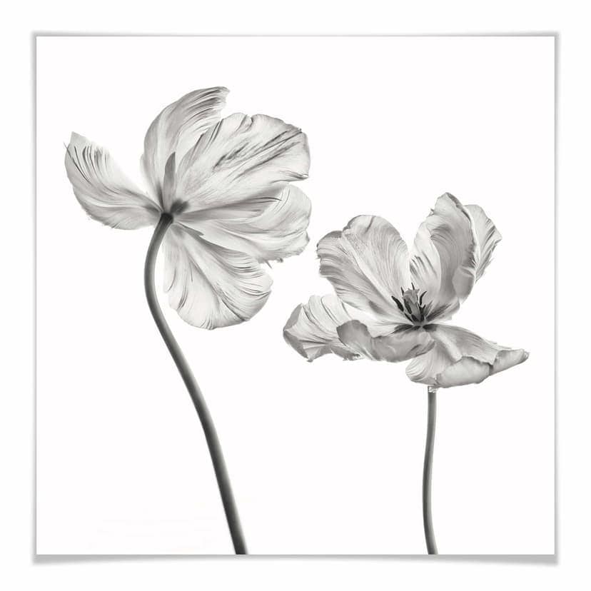 Poster Grønkjær - Fiore di tulipano