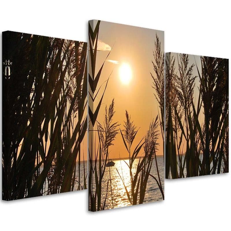 Stampa su tela 3 pezzi, tramonto sull'erba del lago