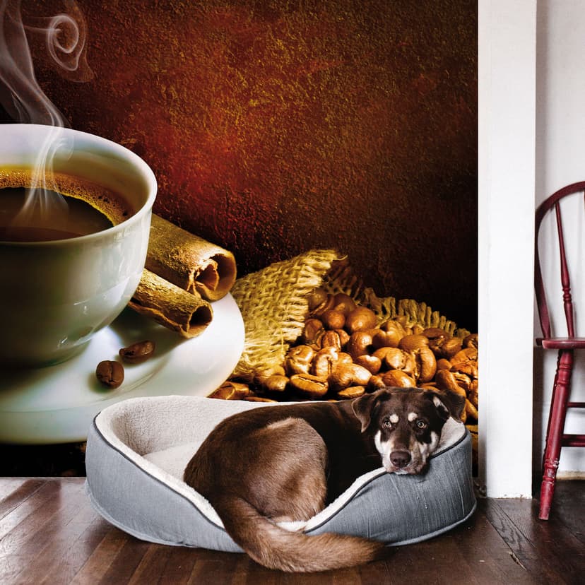 Fotomurale Caffè 1 - 288x260 cm
