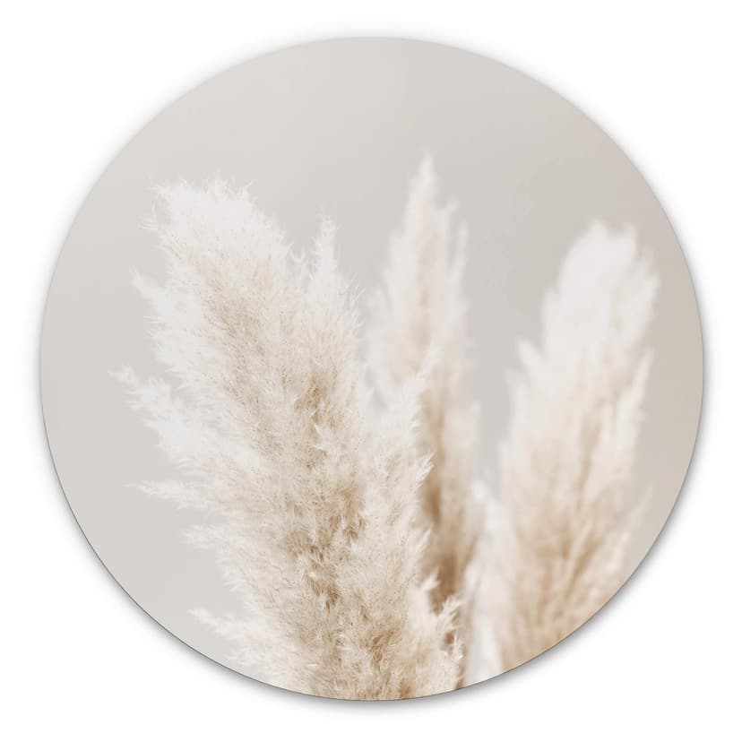 Alu-Dibond 1X Studio - Pampas grass - tondo