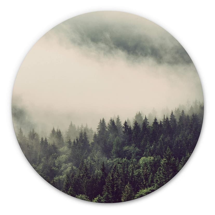 Alu-Dibond Nebbia - nella foresta 02