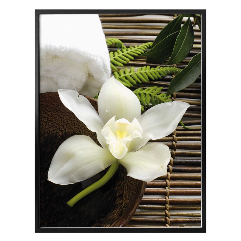Poster - Orchidea del benessere