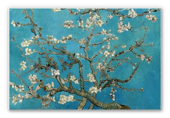 Stampa su Forex Van Gogh - Mandorlo in fiore