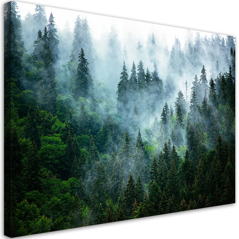 Stampe su tela, Foresta nella nebbia