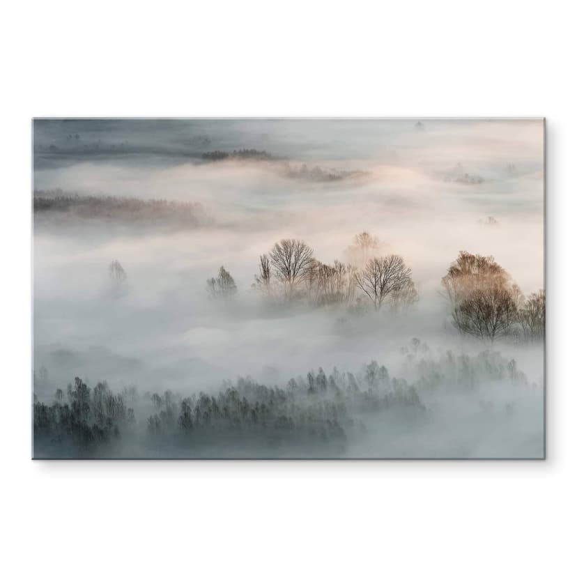 Stampa su vetro acrilico Galimberti - Nebbia invernale