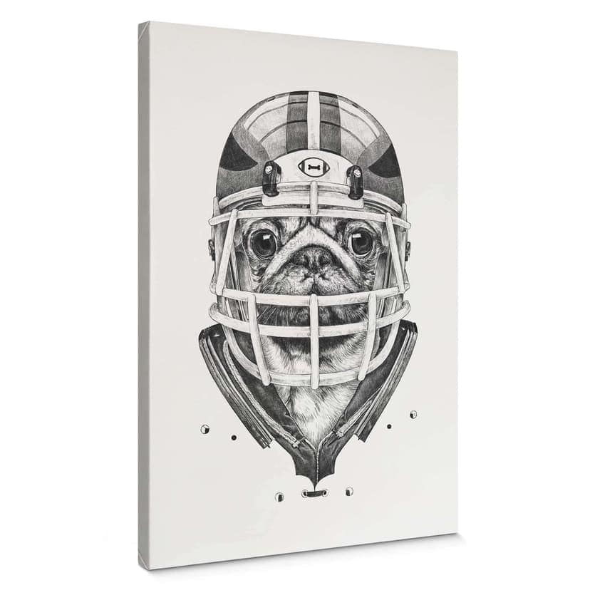 Stampa su tela Kools - American Football