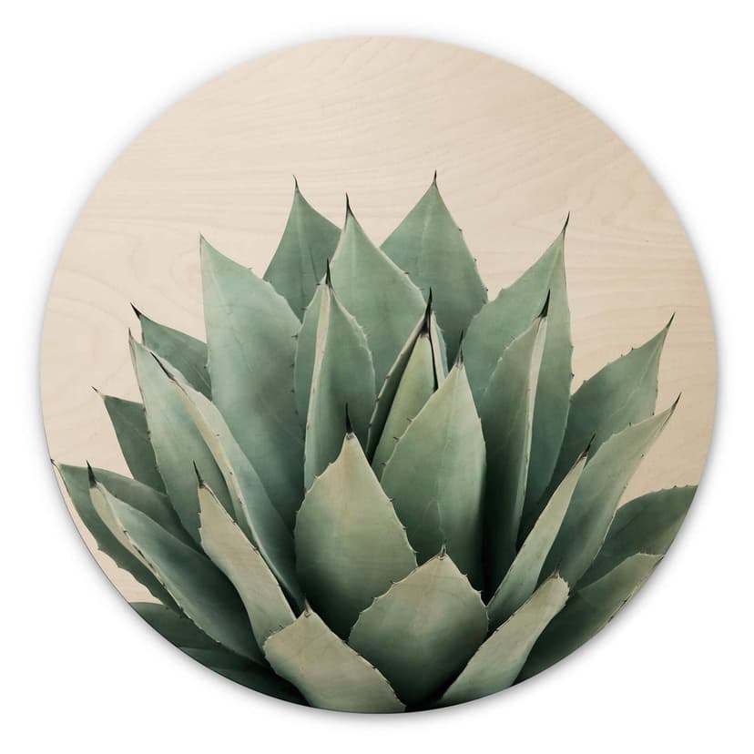 Stampa su legno Sisi & Seb - Succulent - tondo