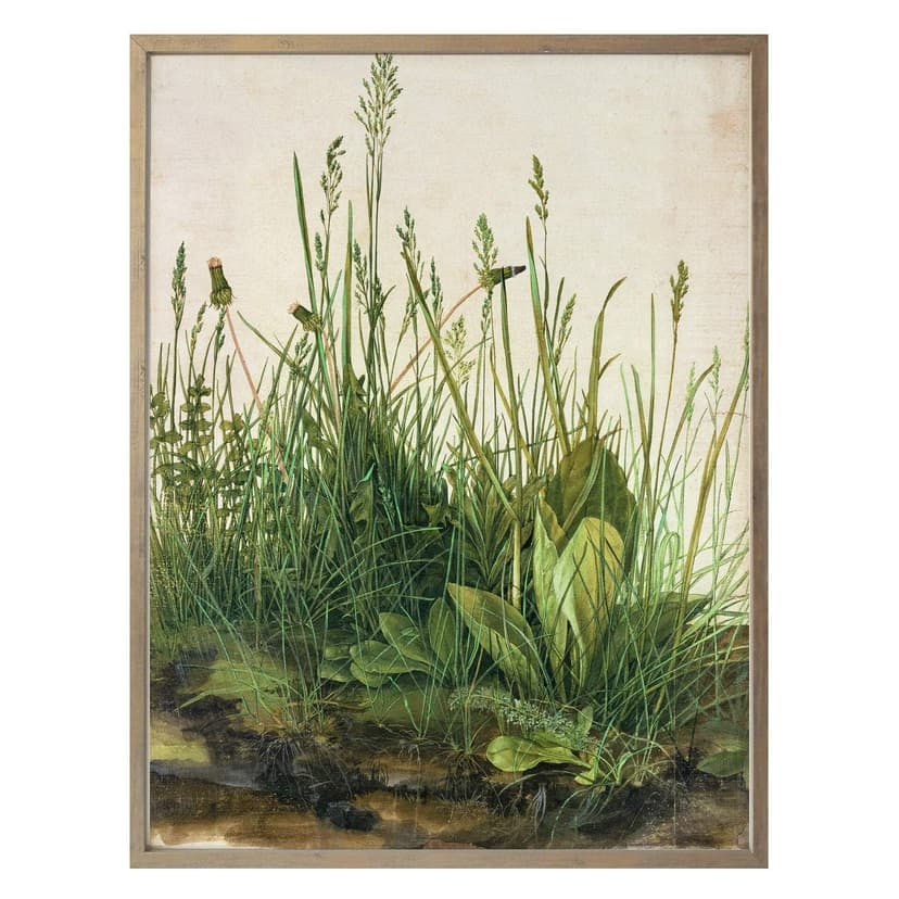 Poster Dürer - Il grande prato
