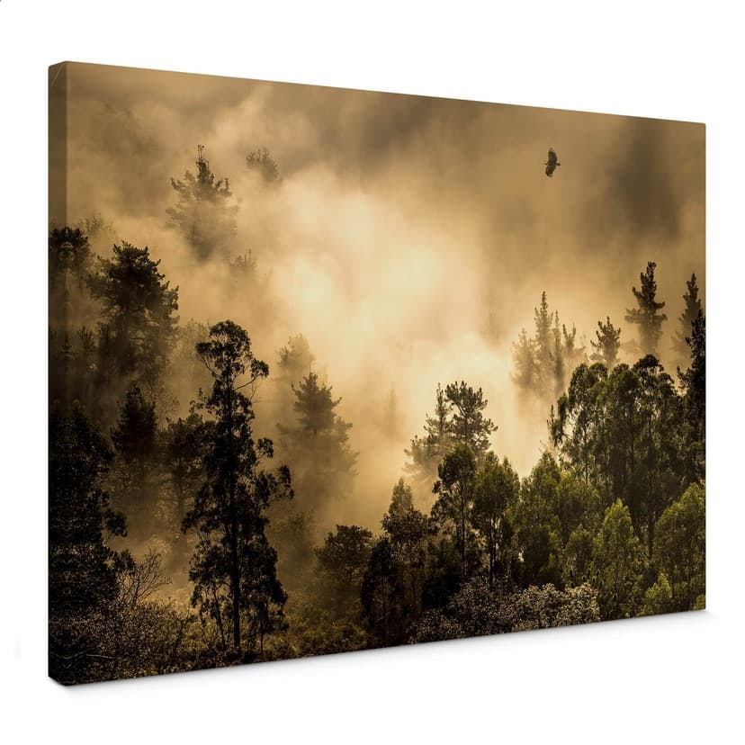 Stampa su tela Cuadrado - Clouds of Light