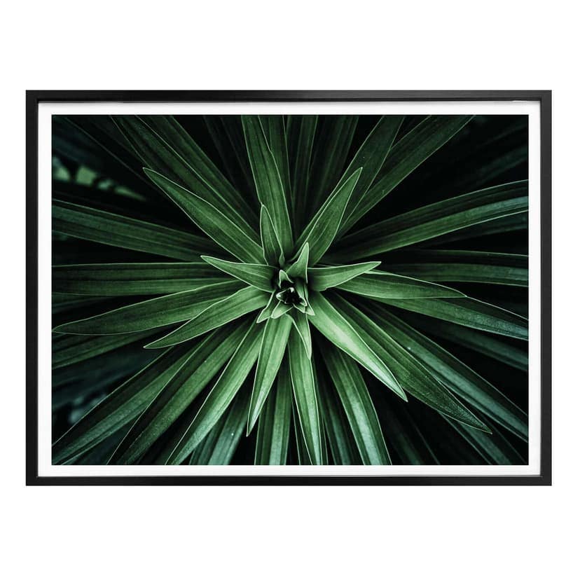 Poster Botanical