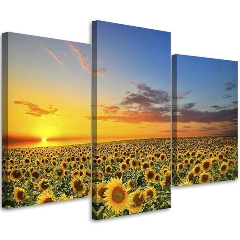Stampa su tela 3 pezzi, prato di fiori di girasoli