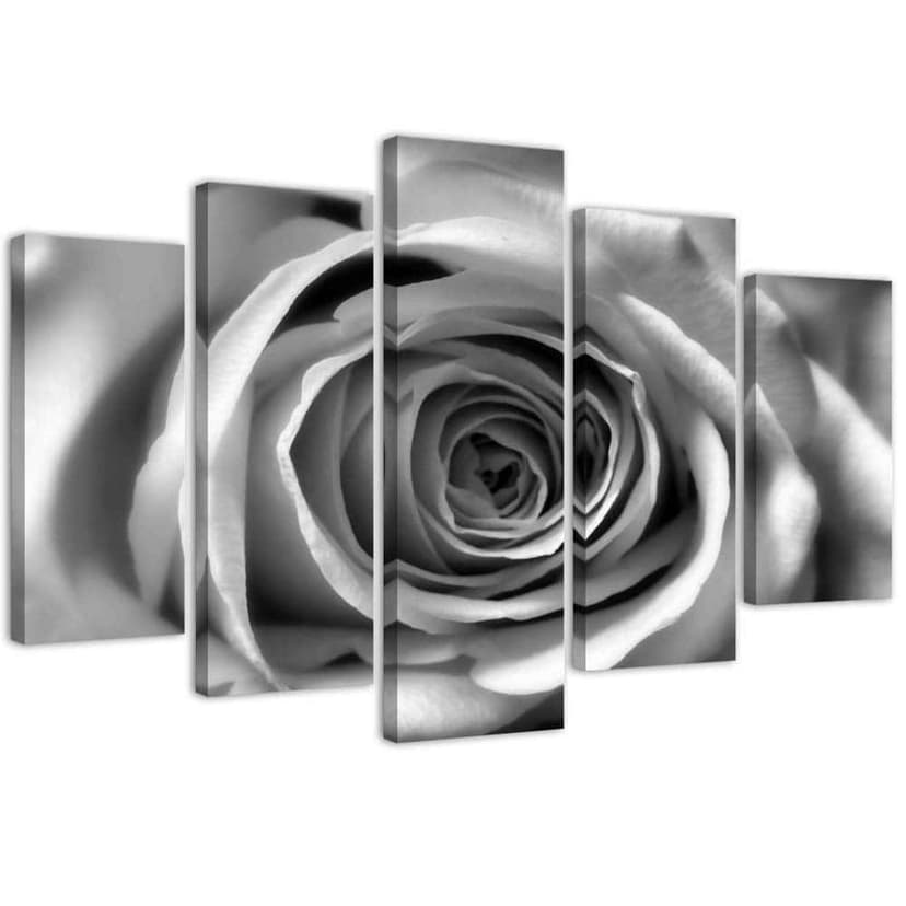Stampa su tela 5 pezzi, fiore di rosa in bianco e nero
