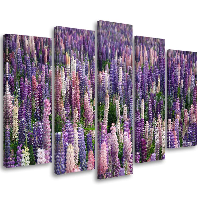 Stampa su tela 5 pezzi, piante di prato fiori lilla