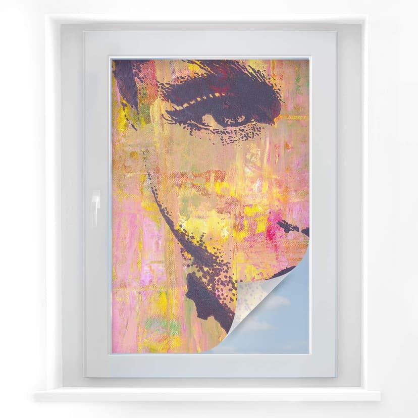 Pellicola adesiva per vetri - ritratto in stile pop art