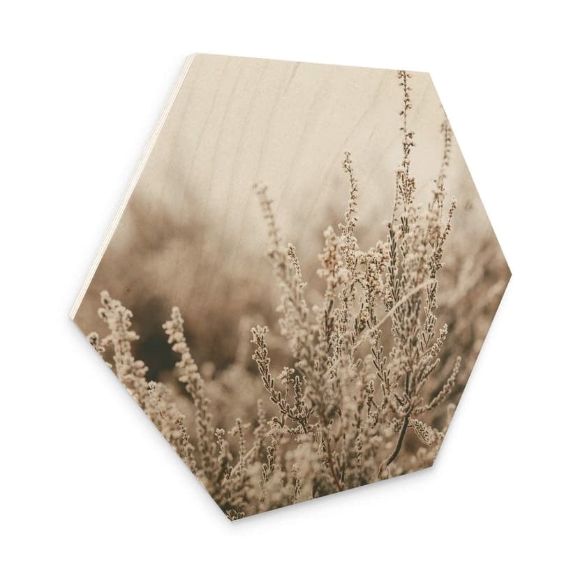 Esagoni in legno Annie - Erba