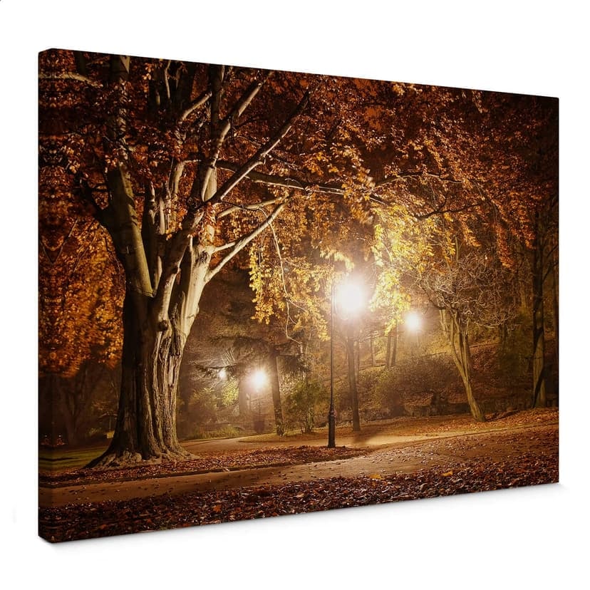 Autunno nel parco