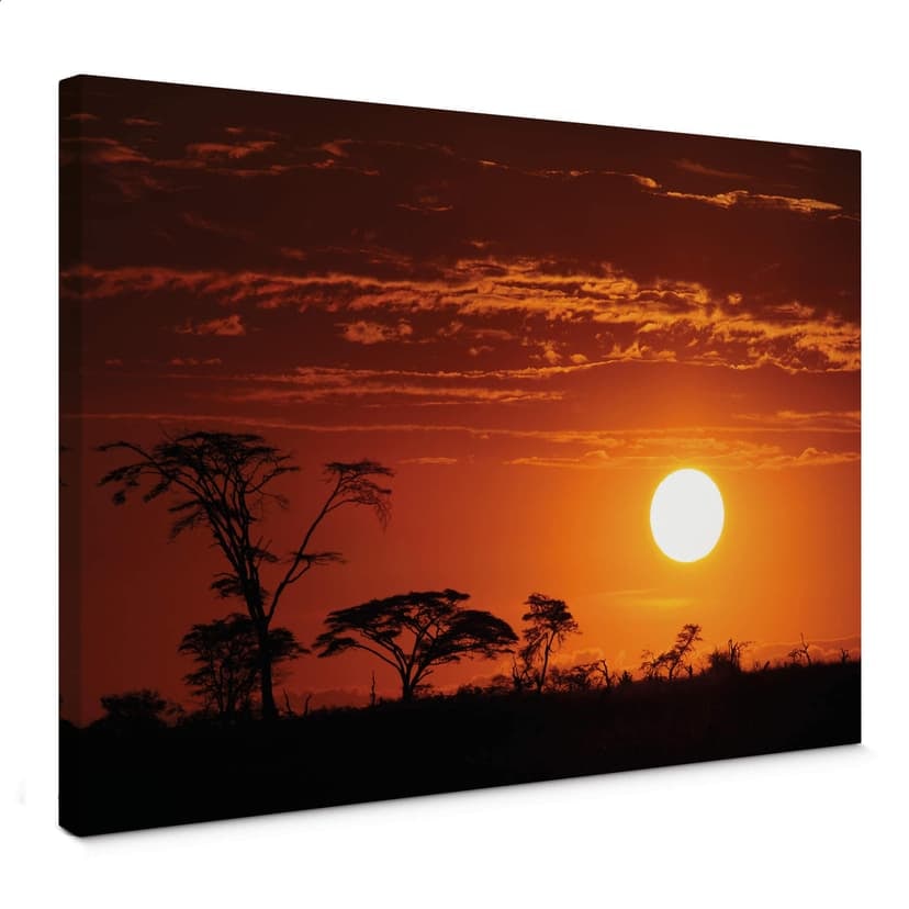 Steppa africana