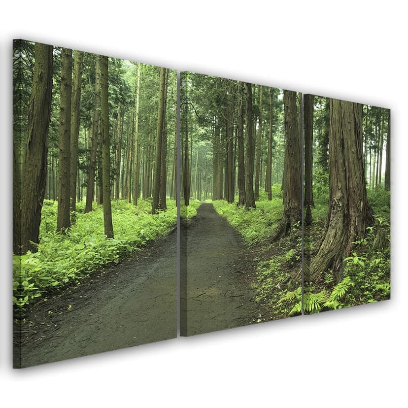 Stampa su tela 3 pezzi, strada forestale alberi natura