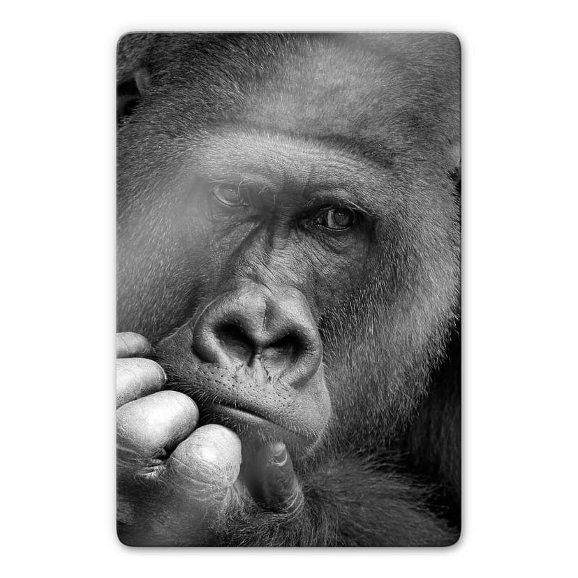 Glasbild Wenner - Der Gorilla