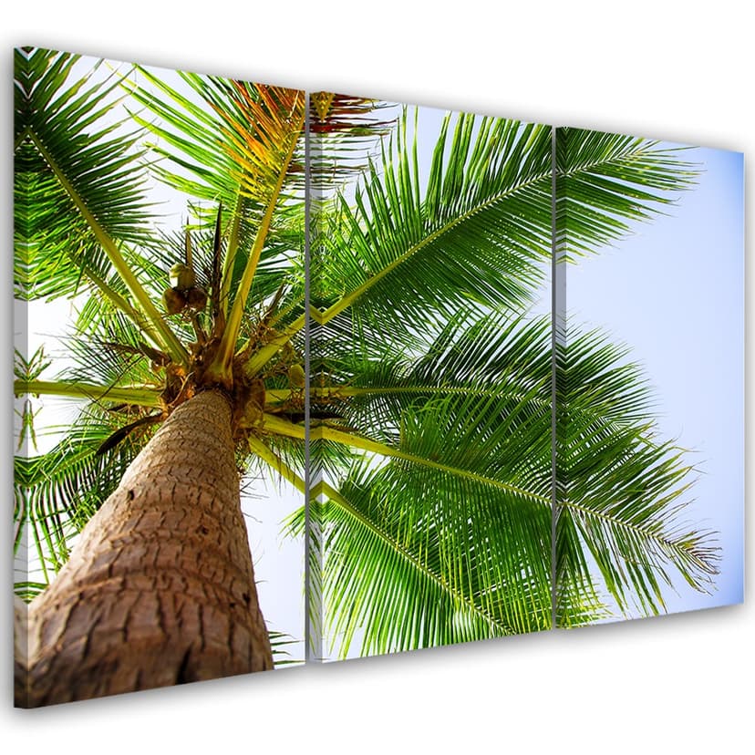 Stampa su tela 3 pezzi Palma tropicale