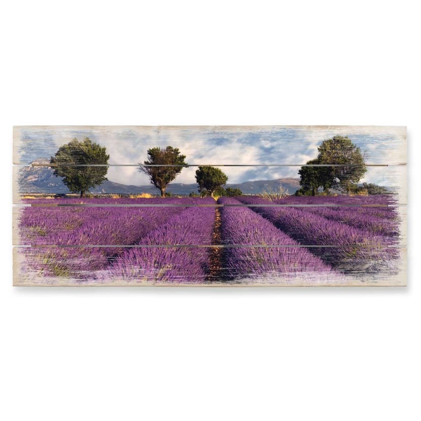 Stampa su legno - Campo di lavanda - panoramica