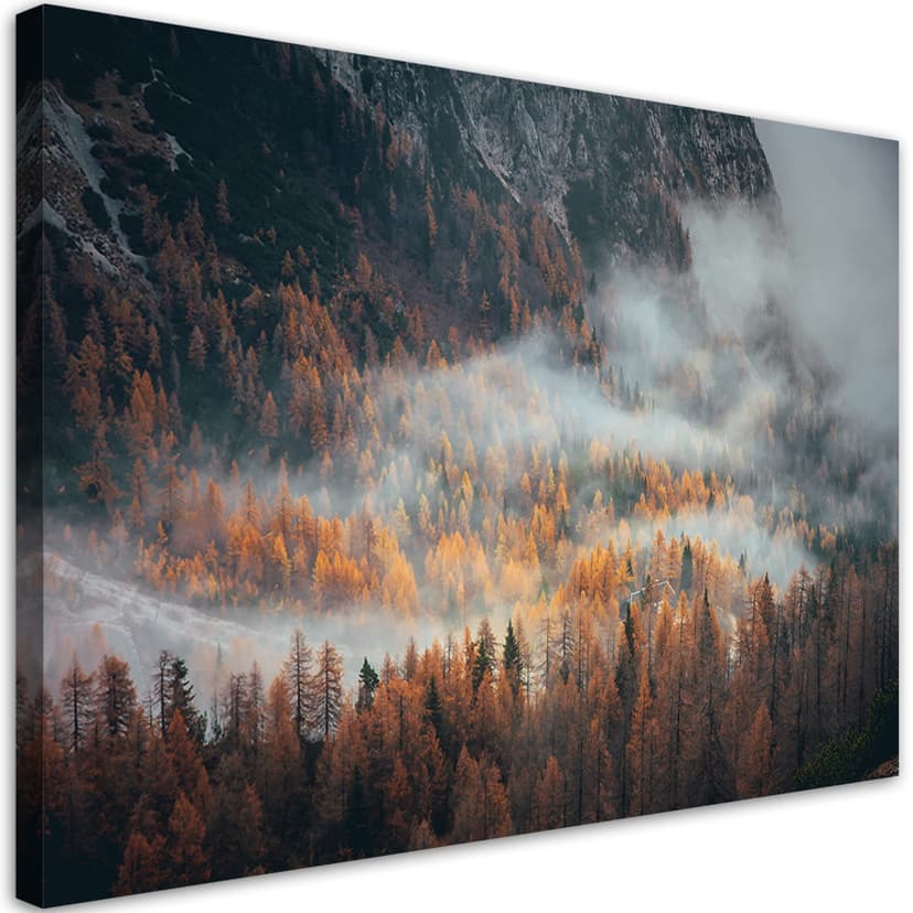 Stampe su tela, Foresta nella nebbia
