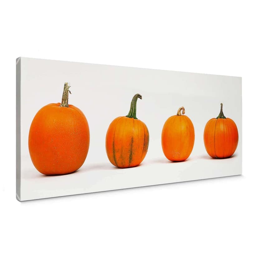 Stampa su tela Varietà di zucca - Panorama