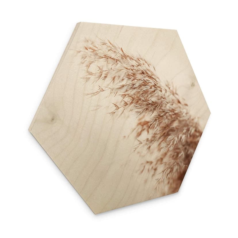 Esagono in legno Pampasgras