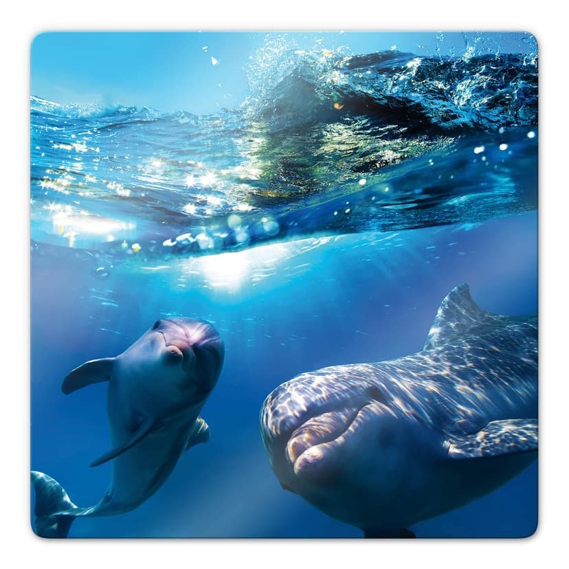 Stampa su vetro - Delfini sott'acqua