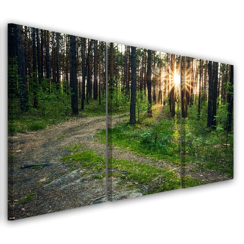 Stampa su tela 3 pezzi, foresta natura strada paesaggio