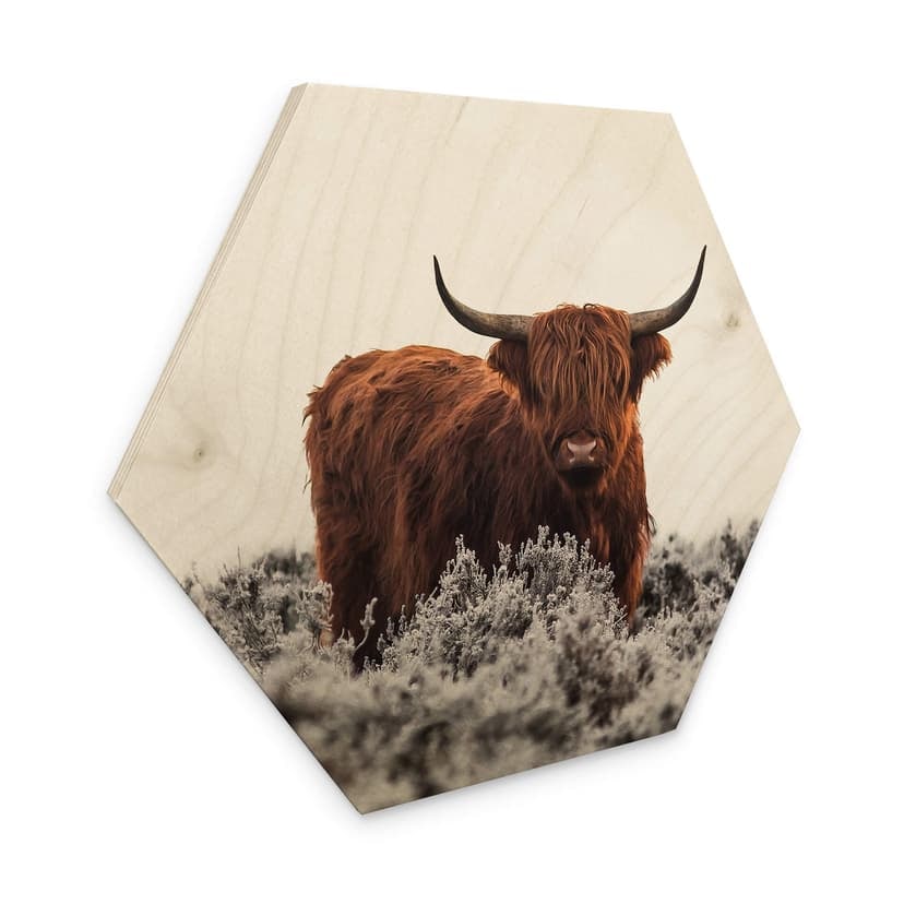 Esagono in legno van den Helm - Highlander