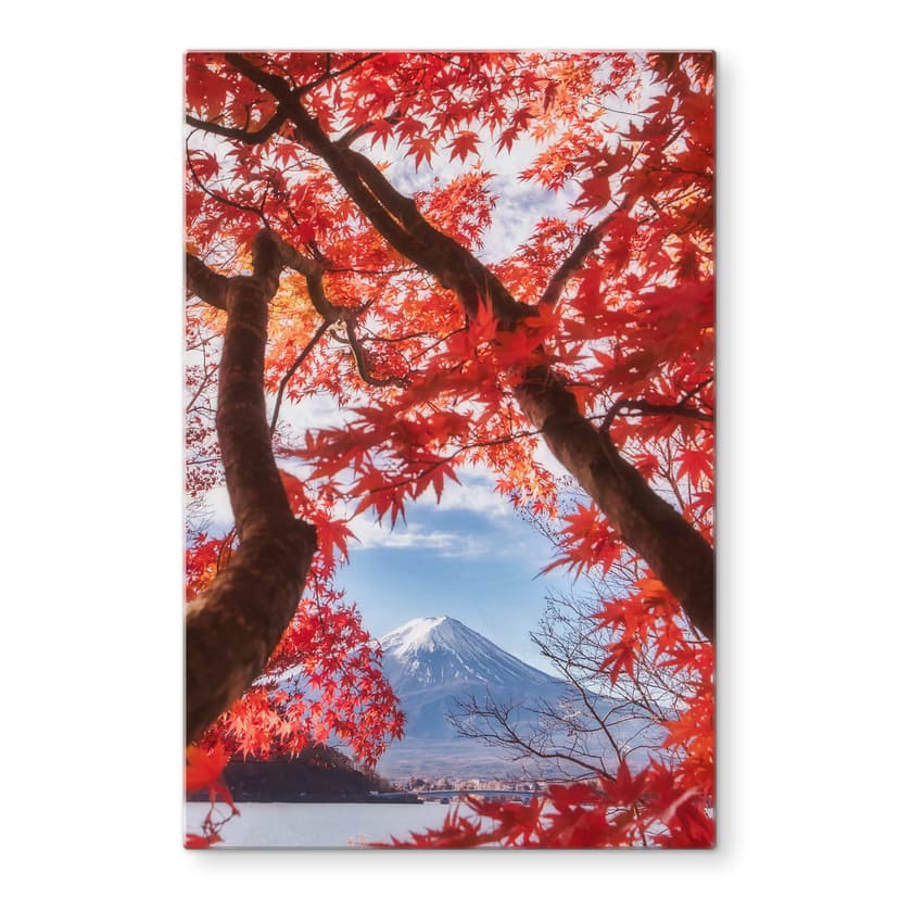 Stampa su vetro Samejima - Foglie rosse