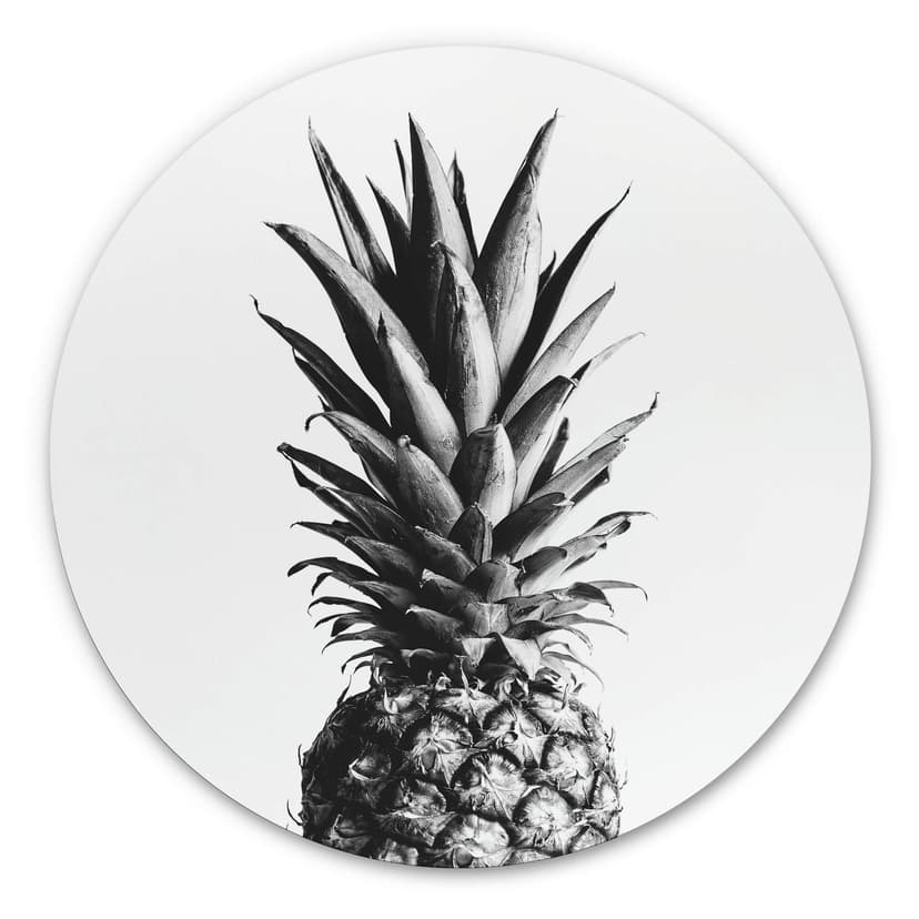 Alu-Dibond 1X Studio - Ananas - tondo