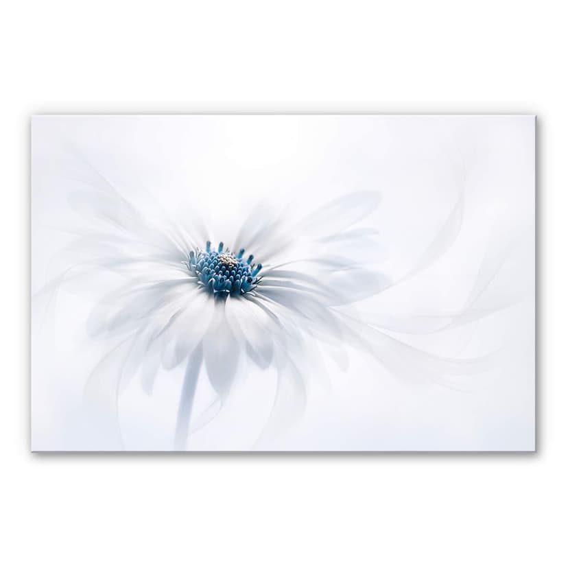 Stampa su vetro acrilico Parker - Frozen Flower