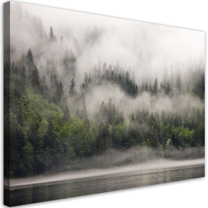 Stampe su tela, Foresta nella nebbia