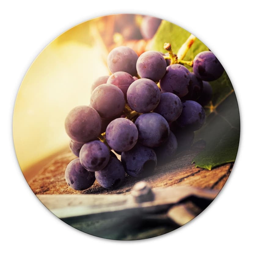 Vendemmia - tondo
