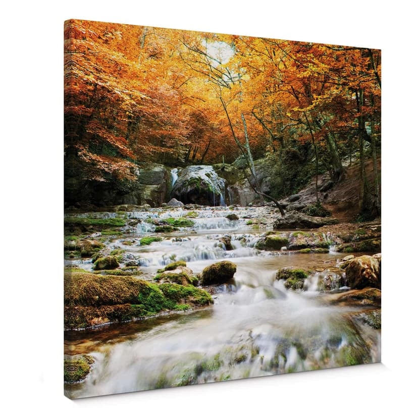 Stampa su tela - Cascata in autunno
