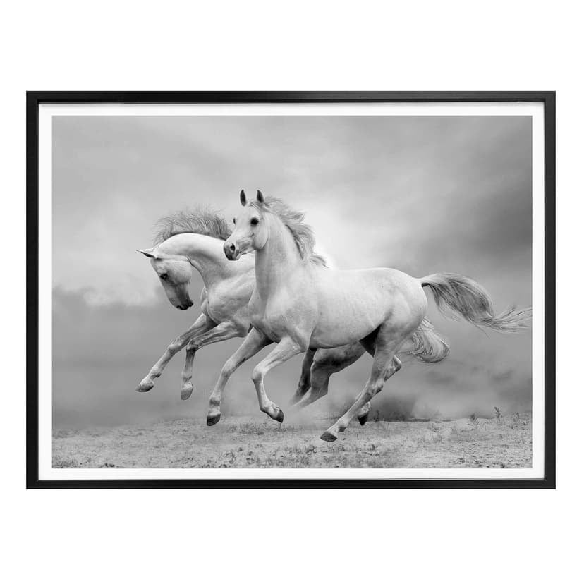 Poster - Cavalli al galoppo
