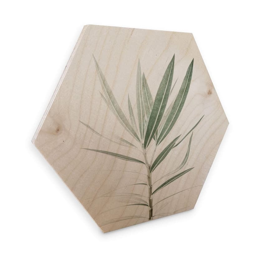Esagoni in legno Sisi & Seb - Oleandro
