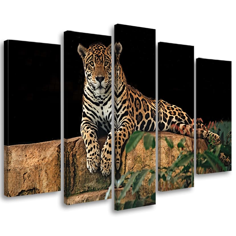 Stampa su tela 5 pezzi leopardo pantera gatto animale